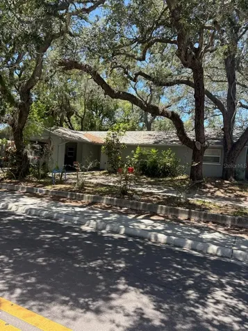 439 E Martin Luther King Jr Drive Tarpon Springs FL 34689