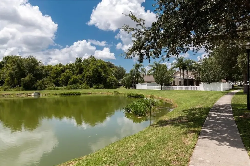 7139 Colony Pointe Drive Riverview FL 33578