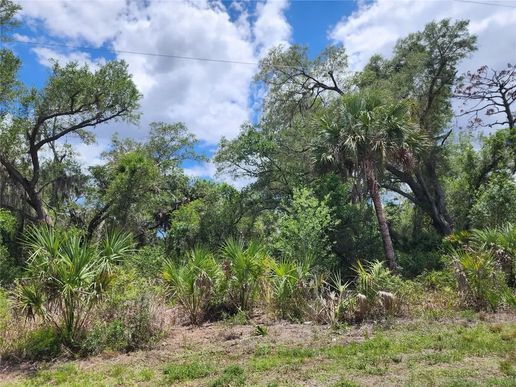 13397 Leatherbury Avenue Port Charlotte FL 33953