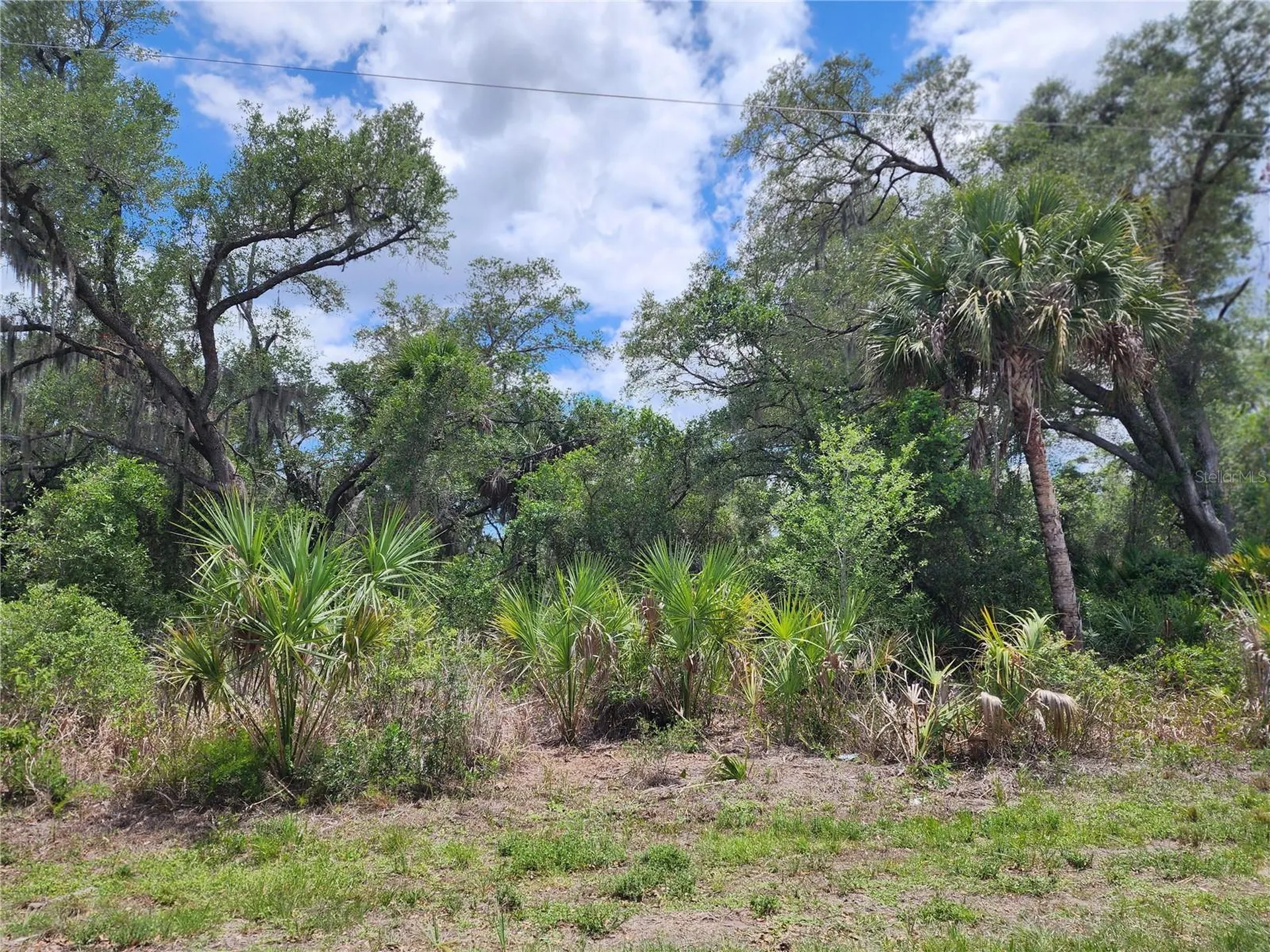 13397 Leatherbury Avenue Port Charlotte FL 33953