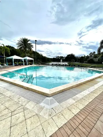 14929 Arbor Springs Circle Tampa FL 33624