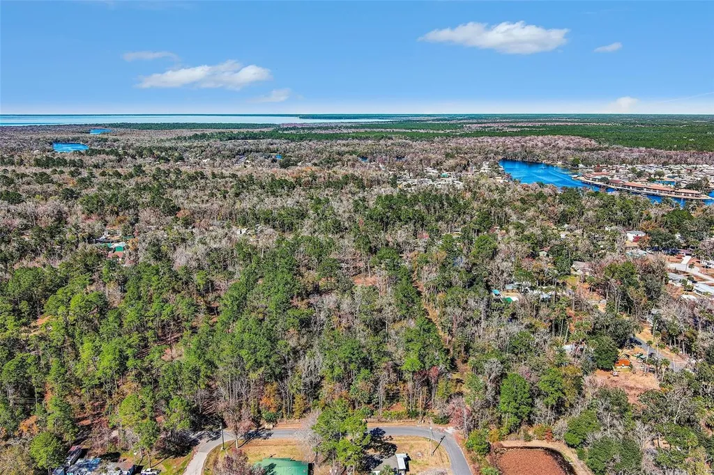 24421 Trespass Trail Astor FL 32102