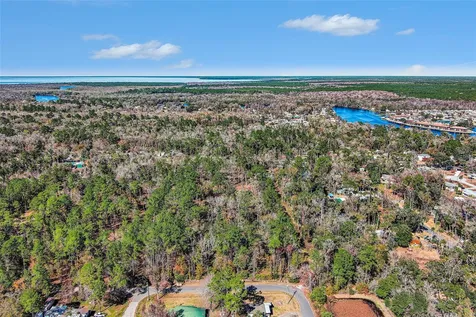 24421 Trespass Trail Astor FL 32102