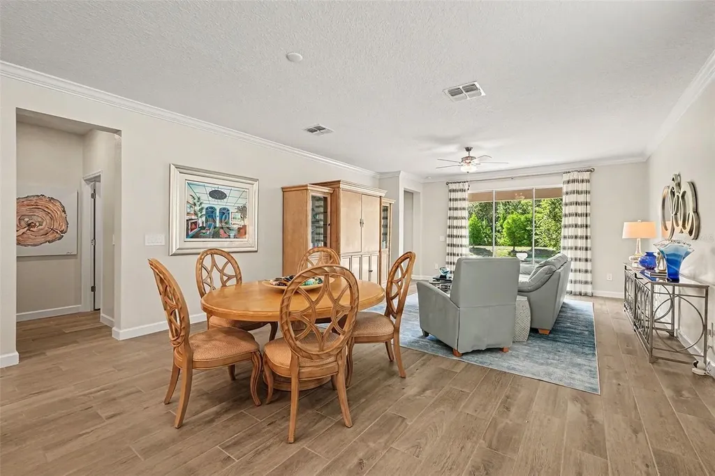 10514 Banyan Breeze Boulevard Land O Lakes FL 34638