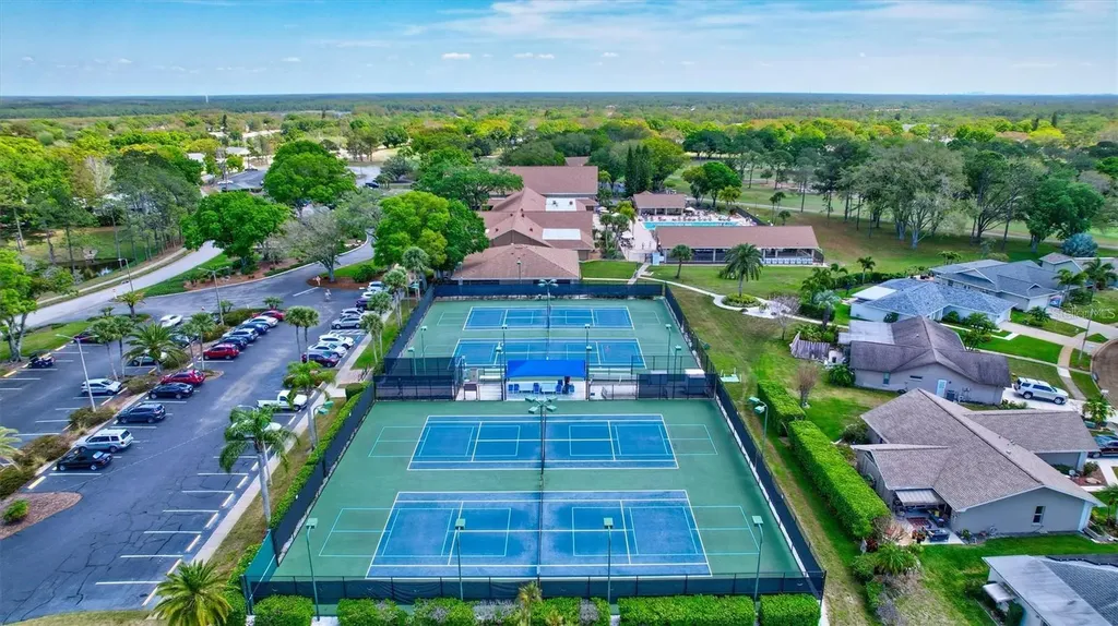 999 Gillespie Drive Palm Harbor FL 34684