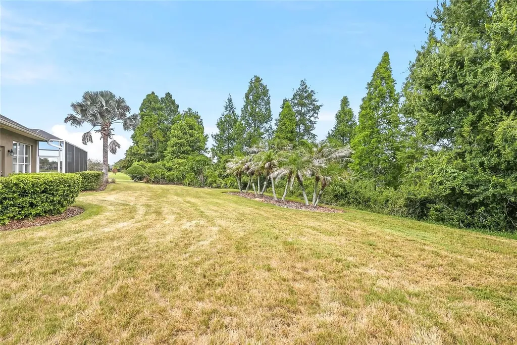 23534 Gracewood Circle Land O Lakes FL 34639