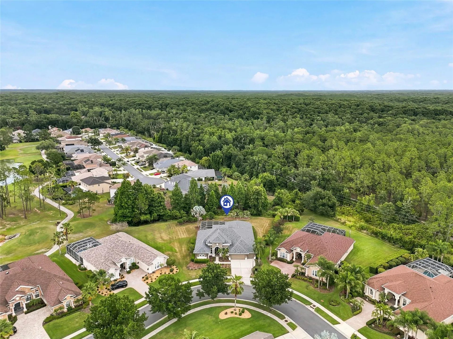 23534 Gracewood Circle Land O Lakes FL 34639