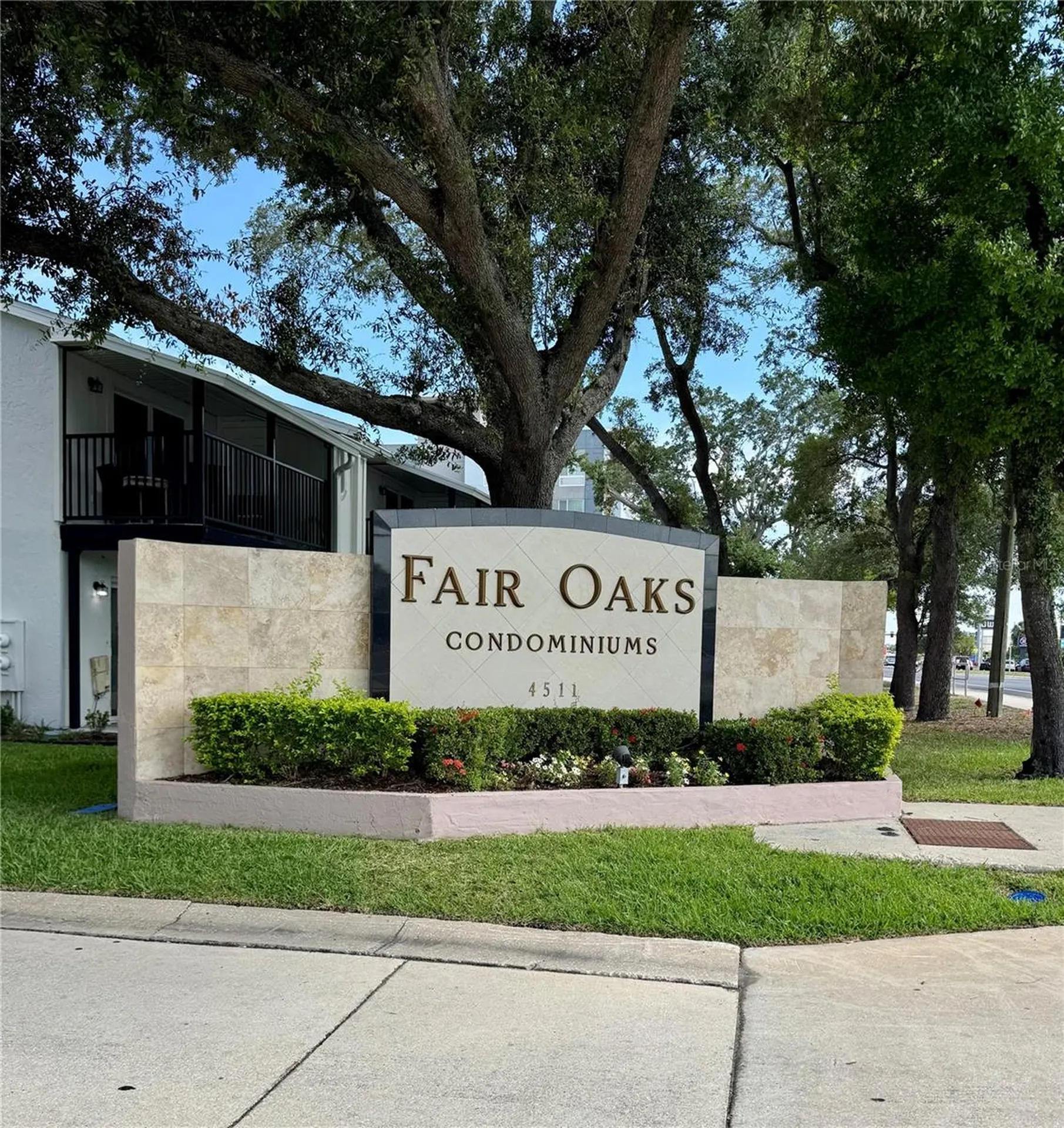 3819 N Oak Drive Tampa FL 33611
