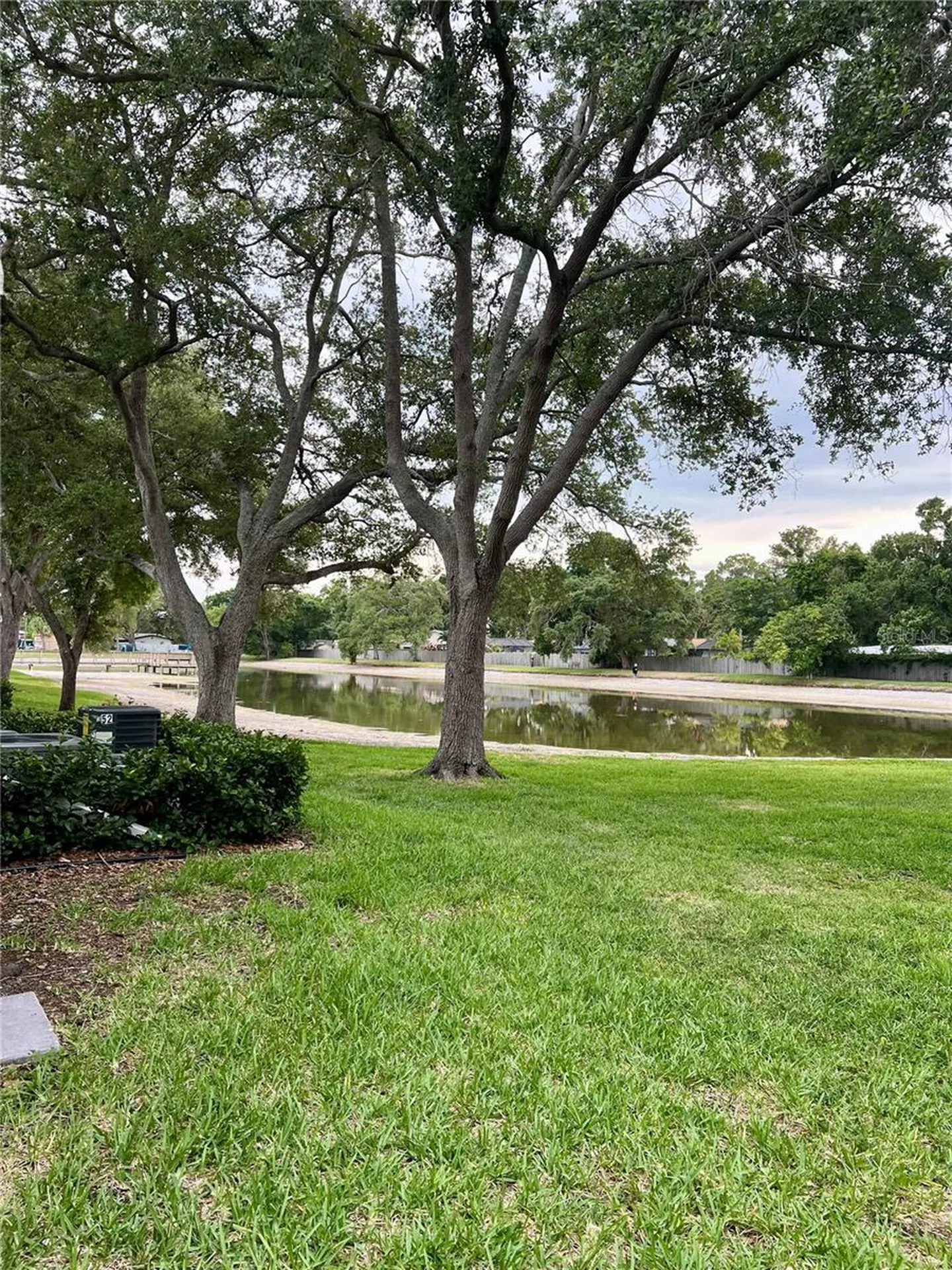 3819 N Oak Drive Tampa FL 33611