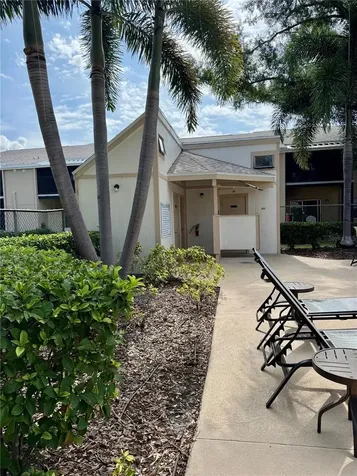 3819 N Oak Drive Tampa FL 33611