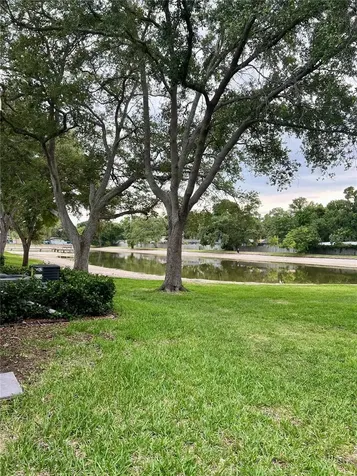 3819 N Oak Drive Tampa FL 33611