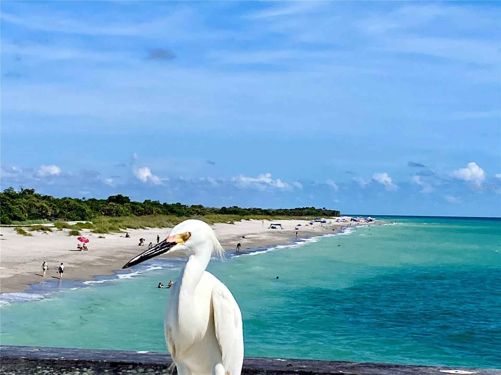 1052 W Truman Street Nokomis FL 34275