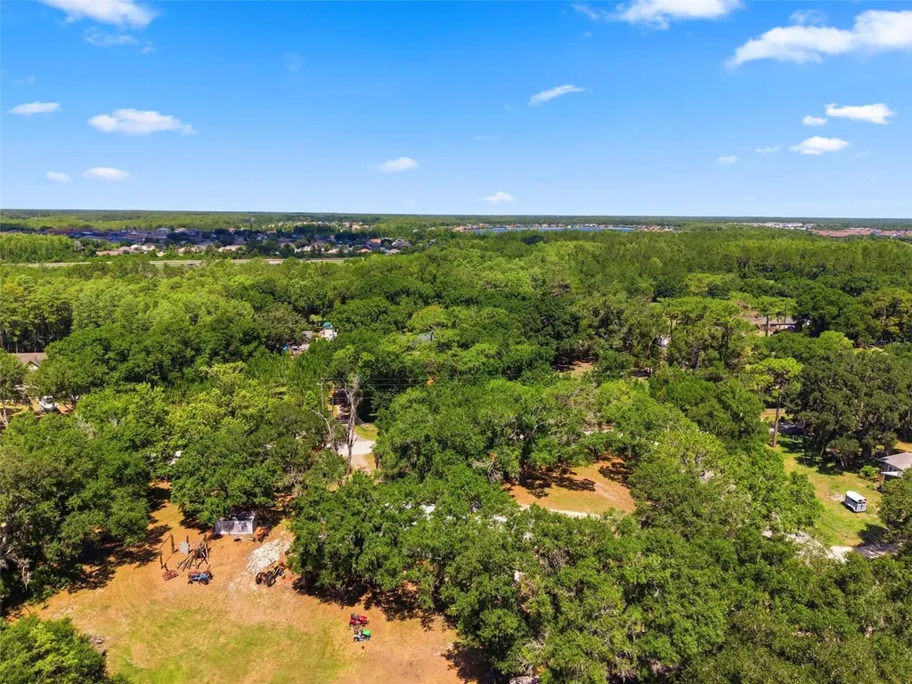 1136 Wildwood Lane Lutz FL 33558