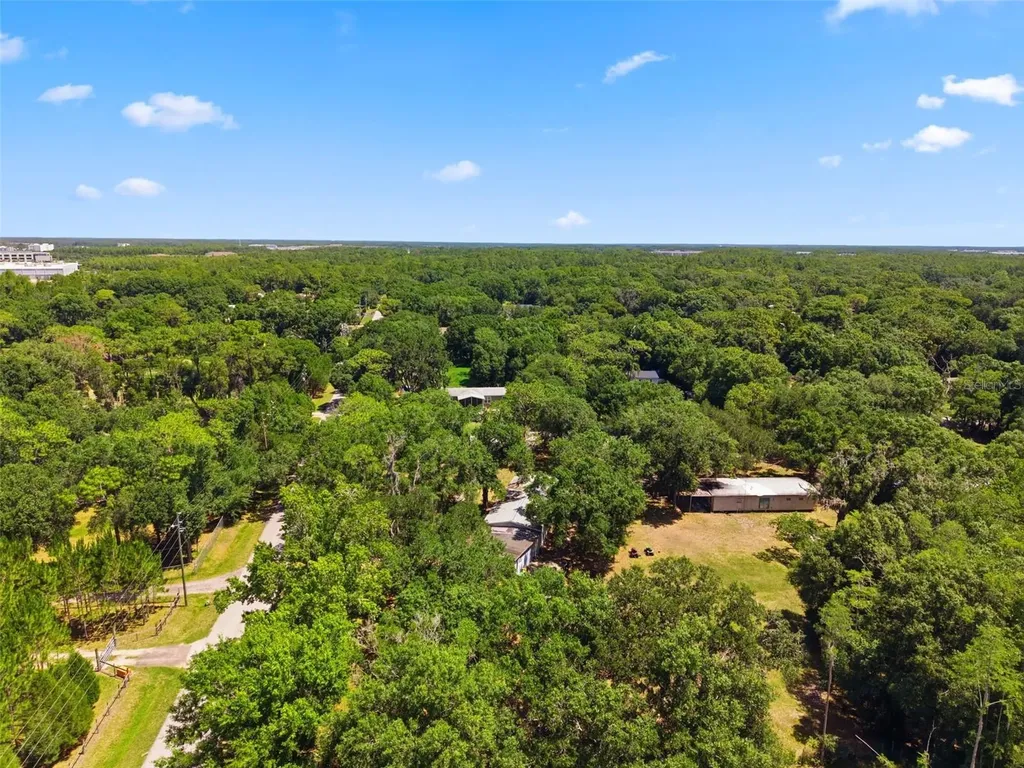 1136 Wildwood Lane Lutz FL 33558