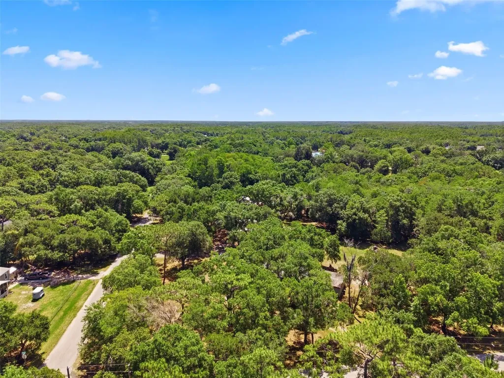 1136 Wildwood Lane Lutz FL 33558