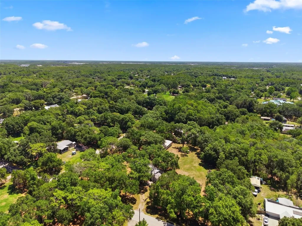 1136 Wildwood Lane Lutz FL 33558