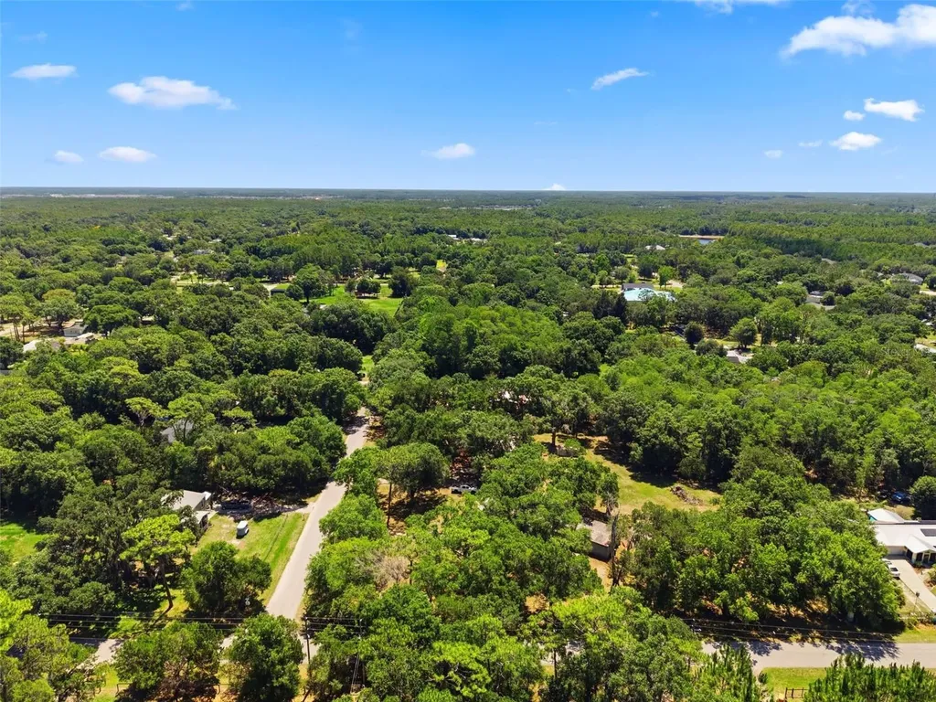 1136 Wildwood Lane Lutz FL 33558