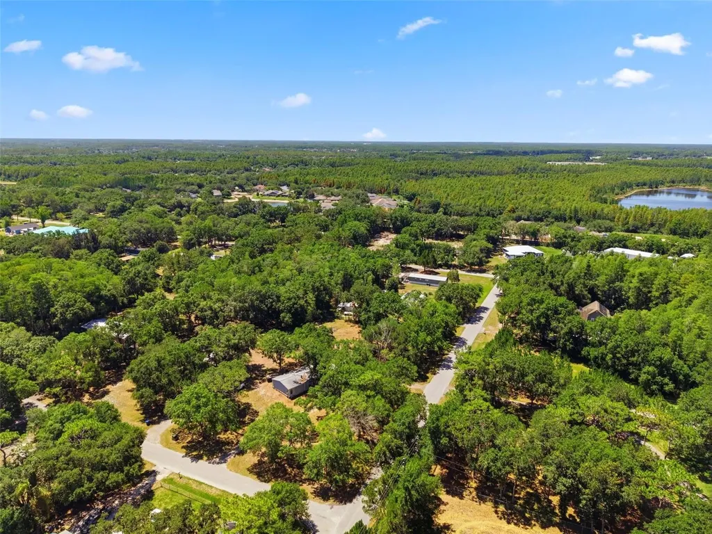 1136 Wildwood Lane Lutz FL 33558