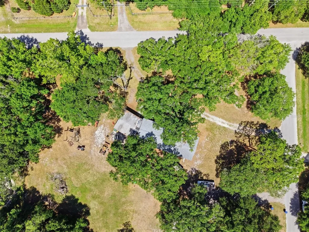 1136 Wildwood Lane Lutz FL 33558