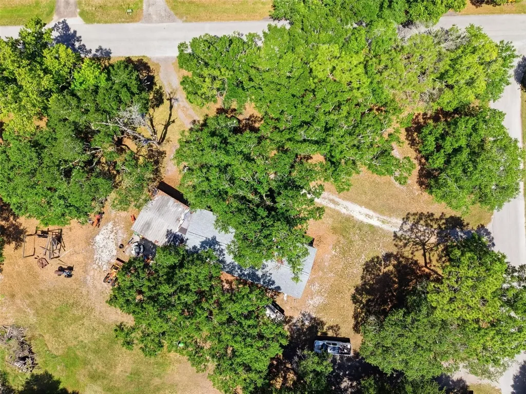 1136 Wildwood Lane Lutz FL 33558