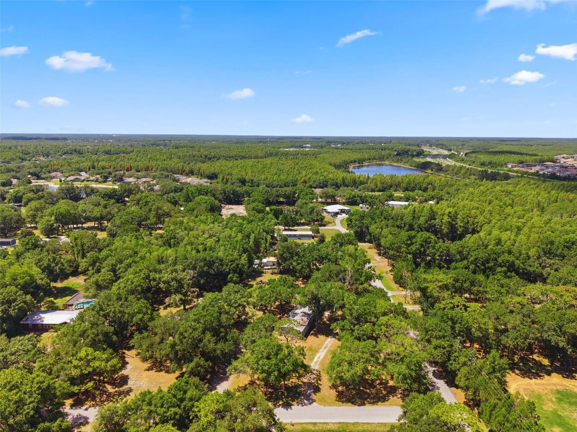 1136 Wildwood Lane Lutz FL 33558