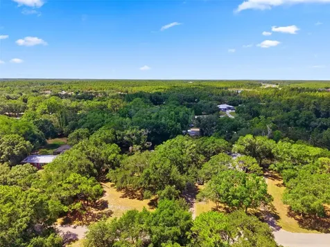 1136 Wildwood Lane Lutz FL 33558