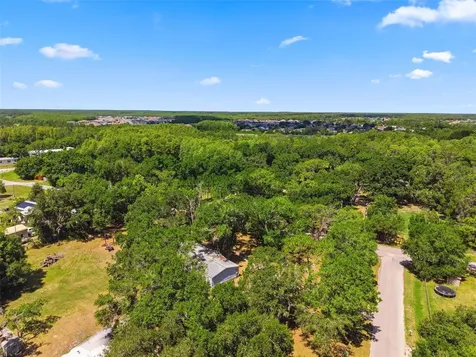 1136 Wildwood Lane Lutz FL 33558