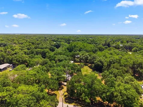 1136 Wildwood Lane Lutz FL 33558