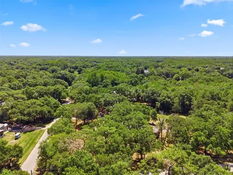 1136 Wildwood Lane Lutz FL 33558