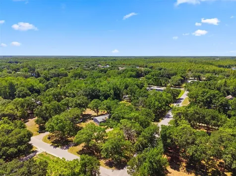 1136 Wildwood Lane Lutz FL 33558