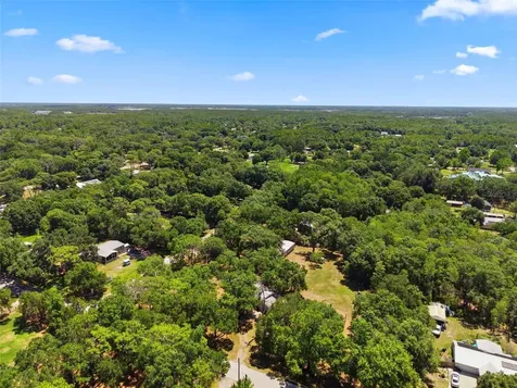 1136 Wildwood Lane Lutz FL 33558