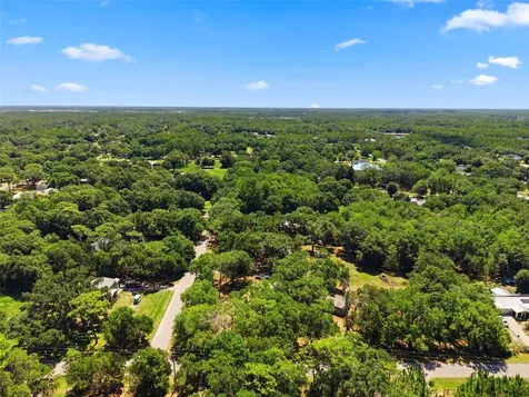 1136 Wildwood Lane Lutz FL 33558