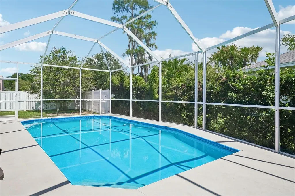 1008 Robinwood Drive Oldsmar FL 34677