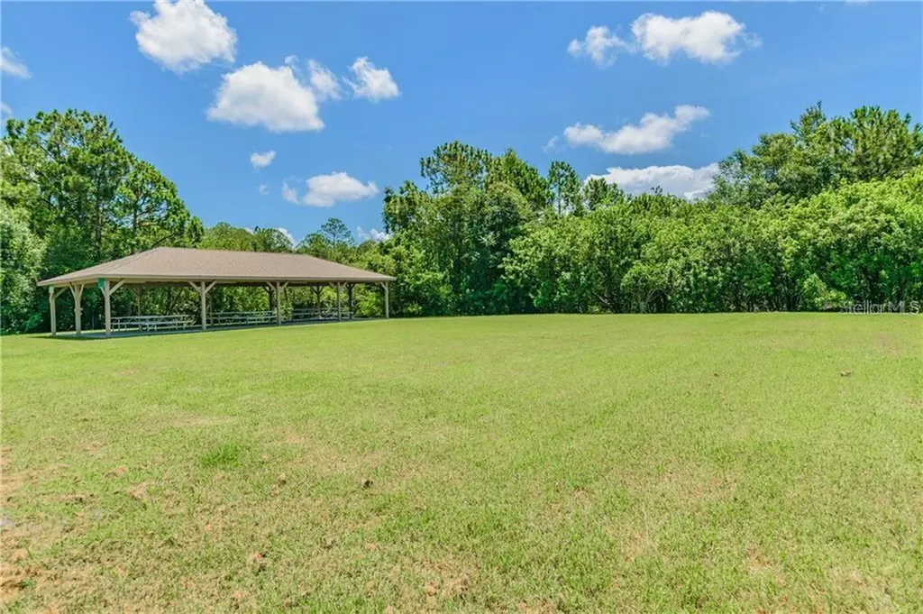 1008 Robinwood Drive Oldsmar FL 34677