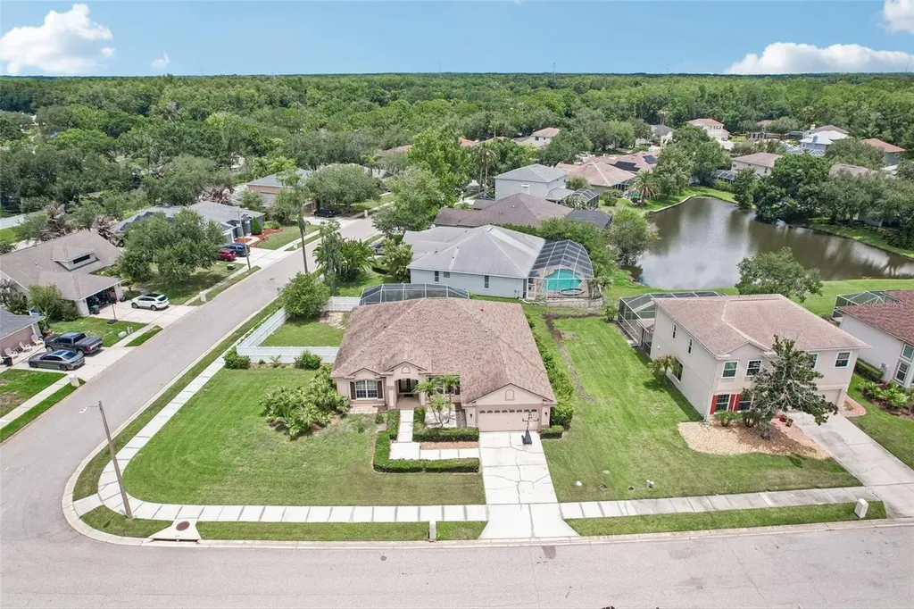 1008 Robinwood Drive Oldsmar FL 34677