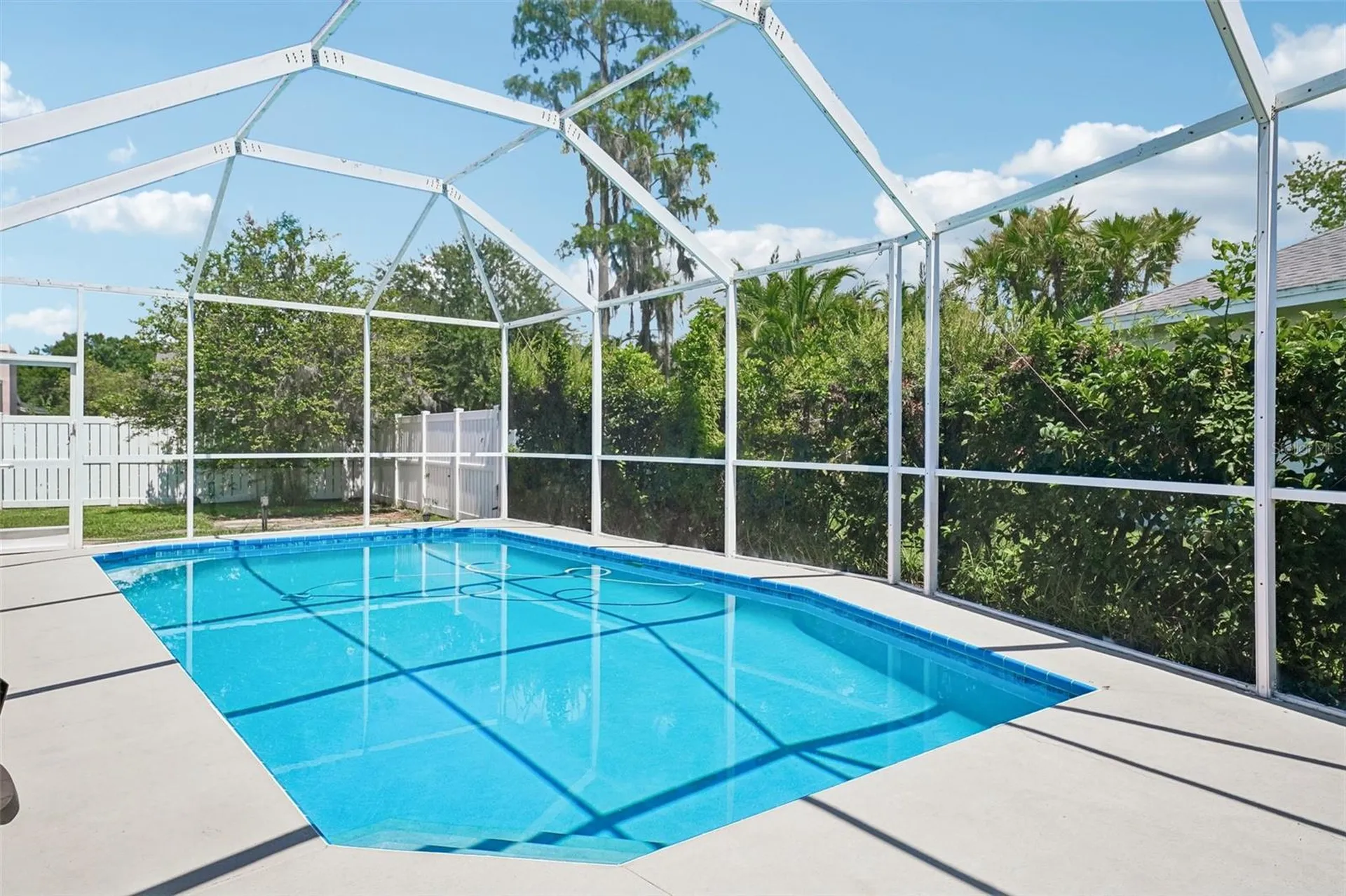 1008 Robinwood Drive Oldsmar FL 34677