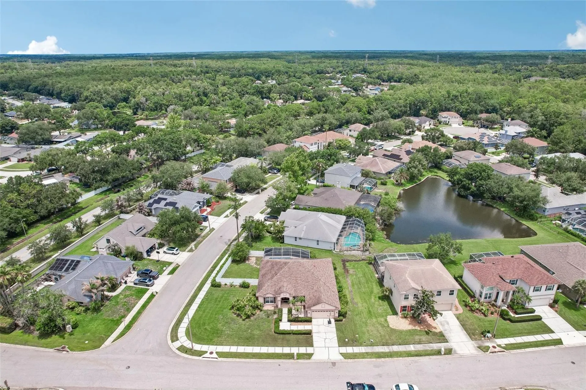 1008 Robinwood Drive Oldsmar FL 34677