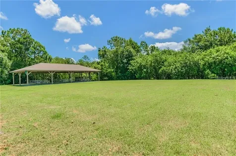 1008 Robinwood Drive Oldsmar FL 34677