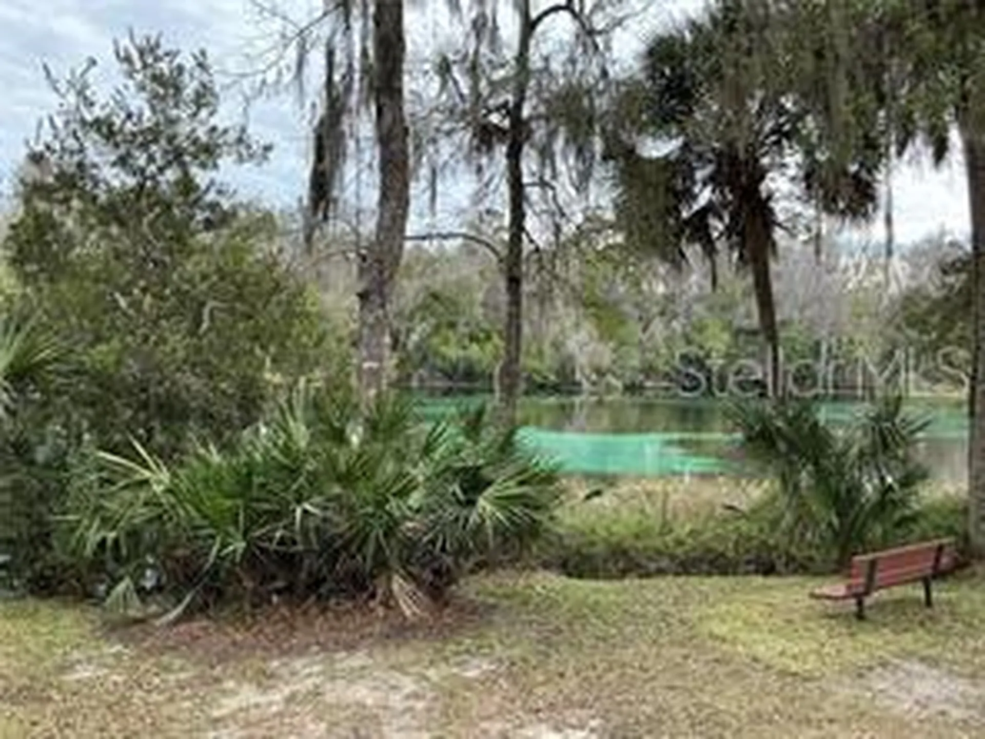 19030 SW 91st Lane Dunnellon FL 34432