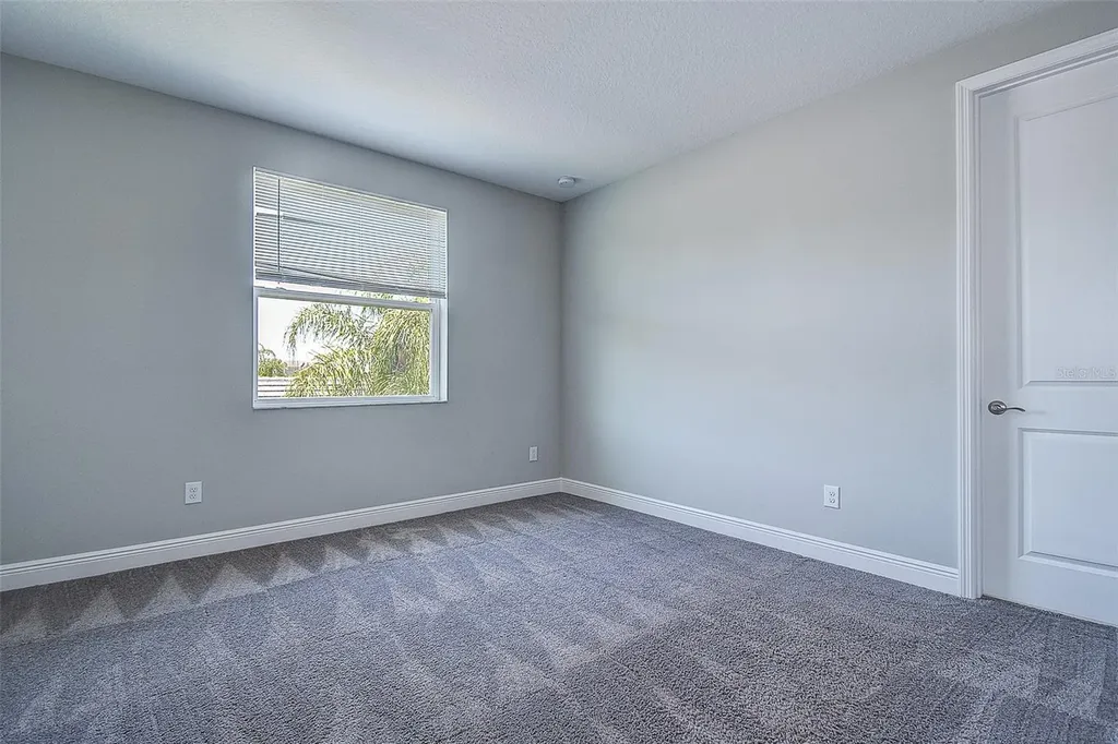 30932 Lindentree Drive Wesley Chapel FL 33543