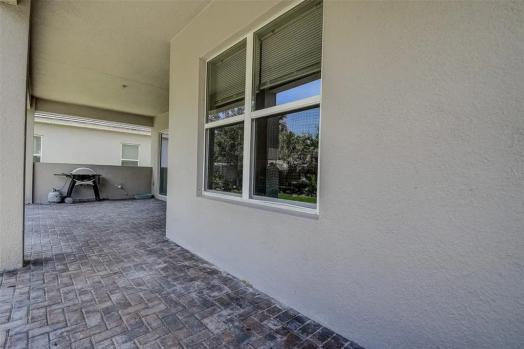 30932 Lindentree Drive Wesley Chapel FL 33543