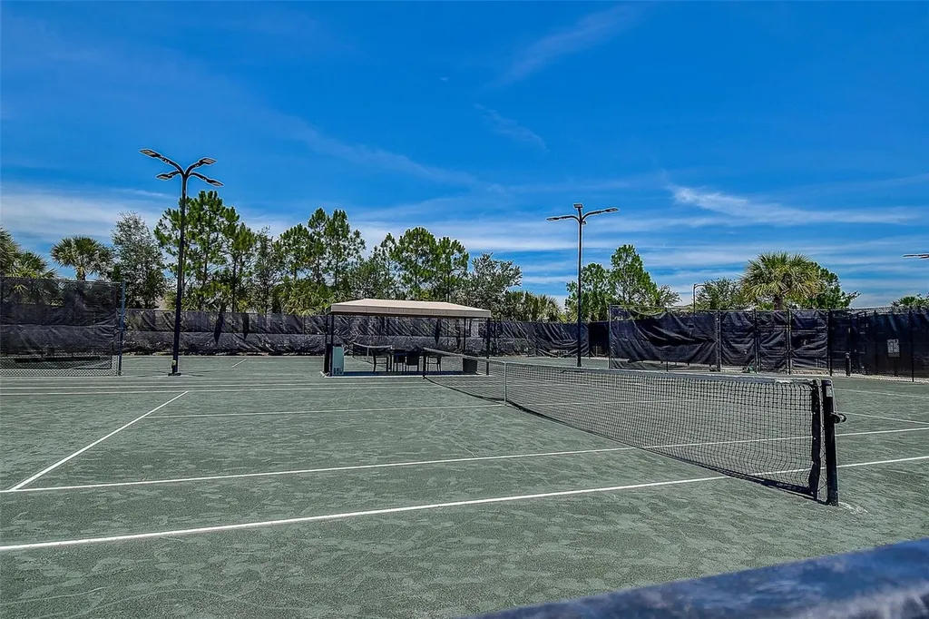 30932 Lindentree Drive Wesley Chapel FL 33543