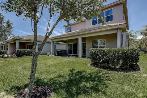 30932 Lindentree Drive Wesley Chapel FL 33543