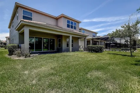 30932 Lindentree Drive Wesley Chapel FL 33543