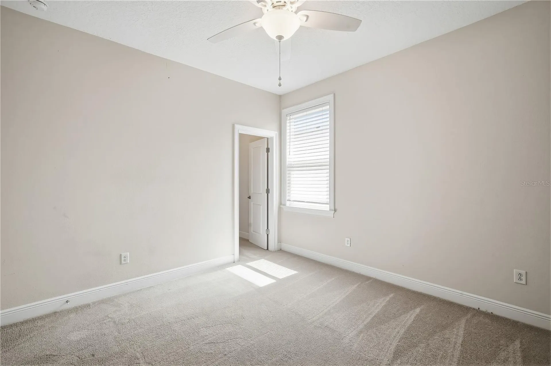 2411 W Fig Street Tampa FL 33609