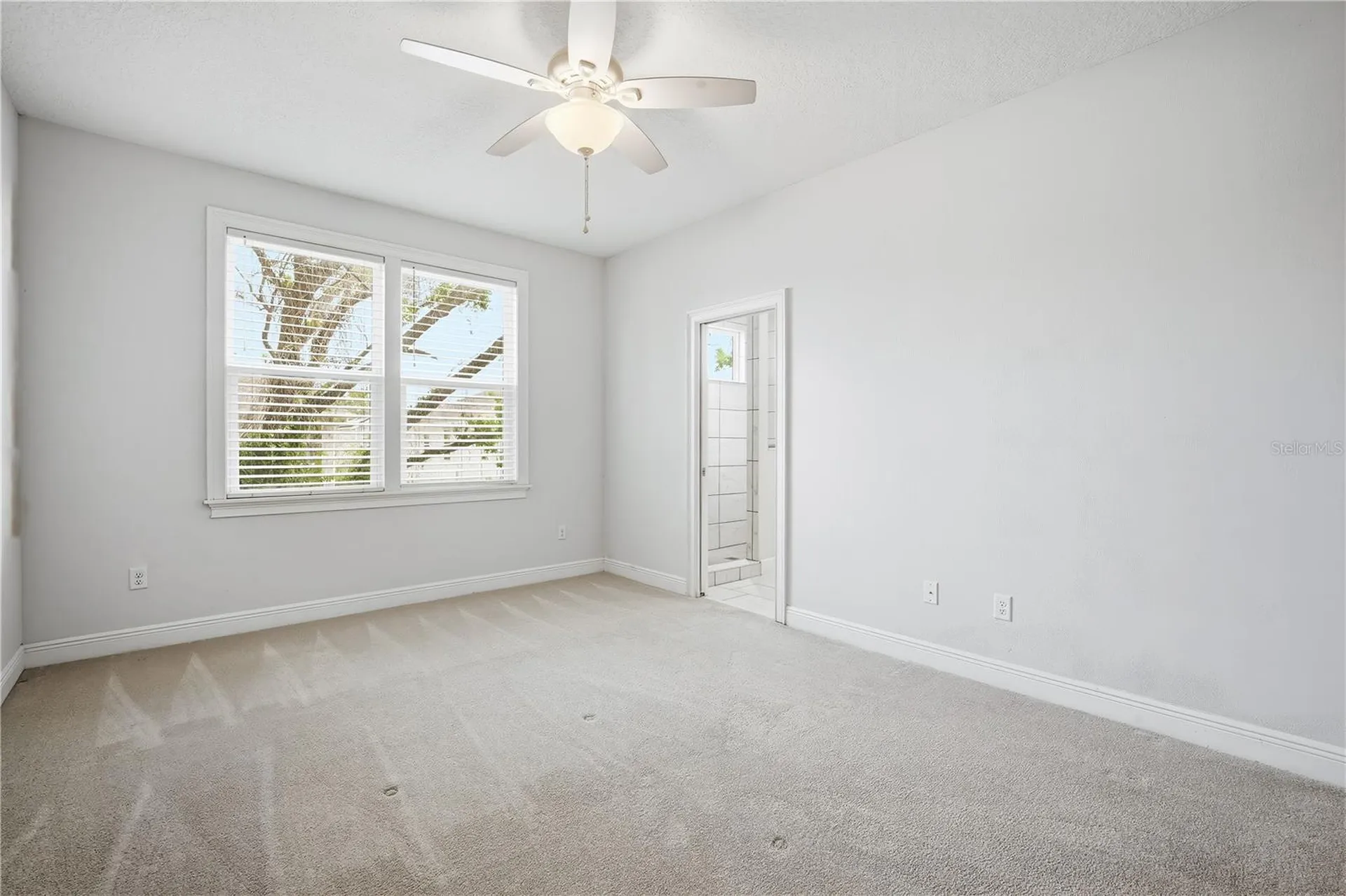 2411 W Fig Street Tampa FL 33609