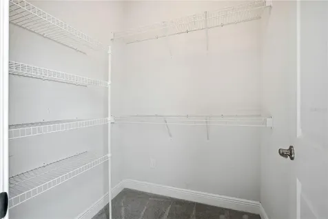 2411 W Fig Street Tampa FL 33609