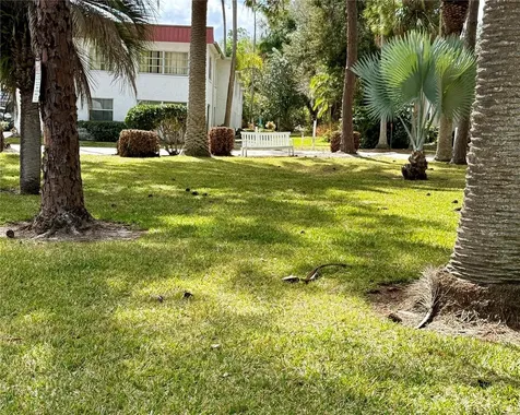1100 Martinique Drive Winter Haven FL 33884
