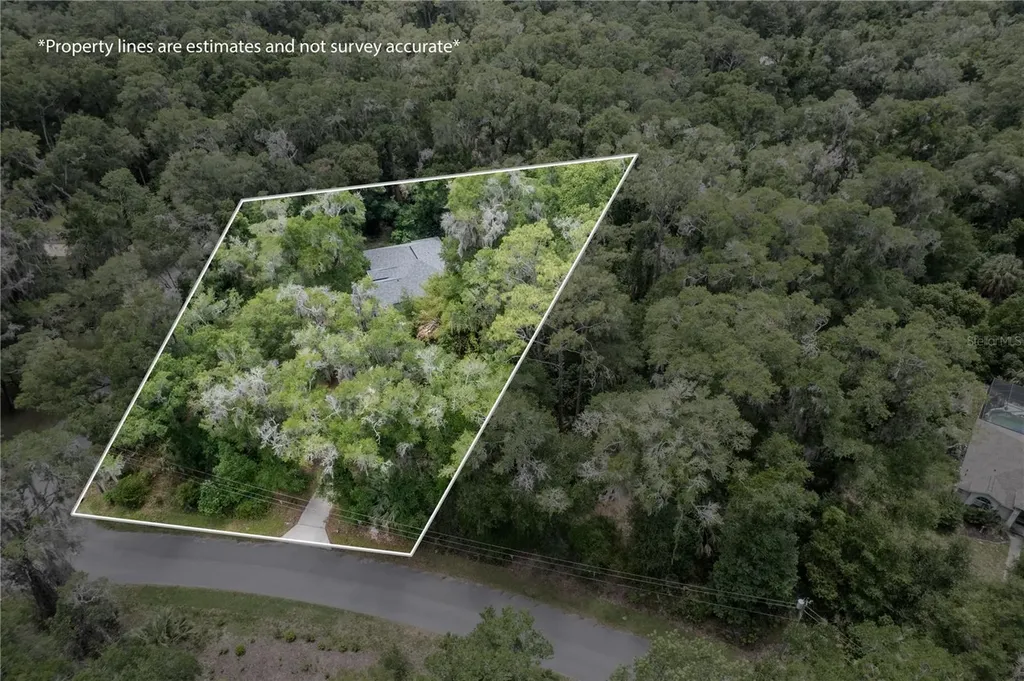7999 SW 187th Avenue Dunnellon FL 34432
