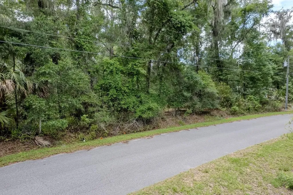 7999 SW 187th Avenue Dunnellon FL 34432